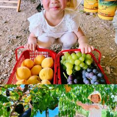 YONG XIANG TU CAI GUAN User Photo