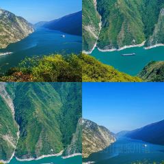 WU SHAN ROAST FISH User Photo