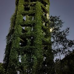 Qisu Court User Photo