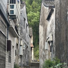 MU MU XIAN User Photo