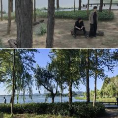 半两·咖啡书店·浮生是杯酒 User Photo