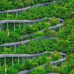 PAN PO FAN DIAN User Photo