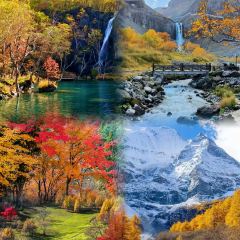 林海雪缘铁锅炖 User Photo