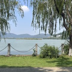 枇杷熟了coffee User Photo