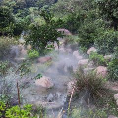 枇杷熟了coffee User Photo