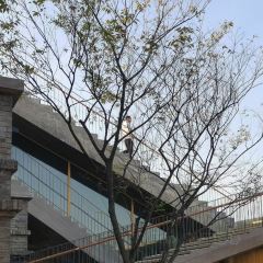 南湖香麒园 User Photo