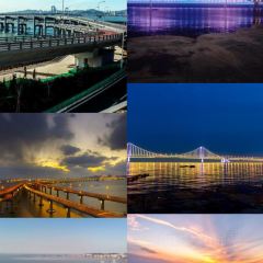 ROYAL OCEAN User Photo