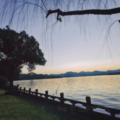 大井巷 User Photo