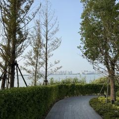 JIN JING GE User Photo