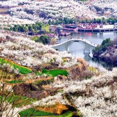 西鄉櫻花山莊度假村用戶圖片
