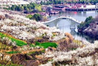 西乡樱花山庄度假村 User Photo