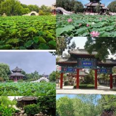 LAO BAO DING User Photo