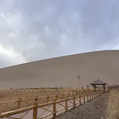 李广记杏皮茶 User Photo