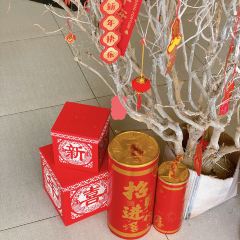 簕韵·簕菜奶茶(锦江国际店) User Photo