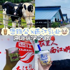 西江乳业(西江农场店) User Photo