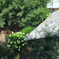 山里食茶馆 여행 사진