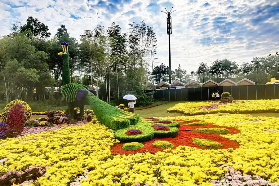 義烏植物園