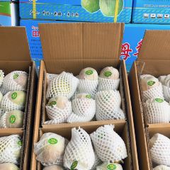 鱼众不同(博湖鱼庄分店) User Photo