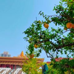 Daguohaixiancheng (puzhaosi) User Photo