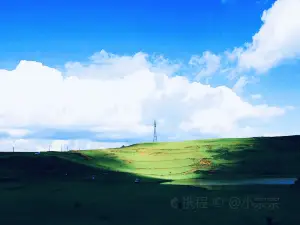 Heiba Grassland