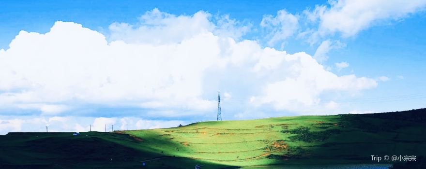 Heiba Grassland