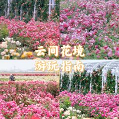 云间花境餐厅 User Photo