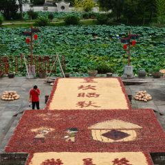 HUAN XIU TU CAI GUAN User Photo