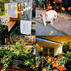也行Cafe User Photo