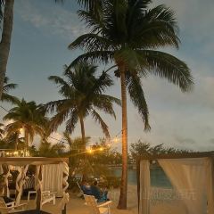 The Cracked Conch by the Sea User Photo