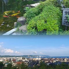 Roan Atatakami User Photo