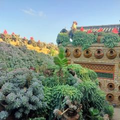 912张宜花园餐厅 User Photo