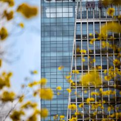 福州融僑皇冠假日飯店·美廚滙全日餐廳張用戶圖片