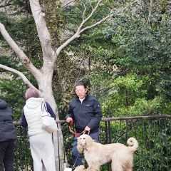 Joren Falls Tourism Center張用戶圖片