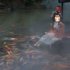 葛仙村度假区天元餐厅 User Photo
