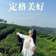 WEN XIN CHA ZHUANG YUAN User Photo