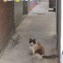 也文也武河边茶事 User Photo