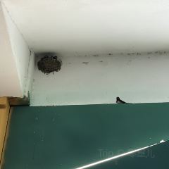 MI XUE BING CHENG User Photo