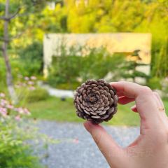 长兴花间堂·沂水·闻香餐厅 User Photo