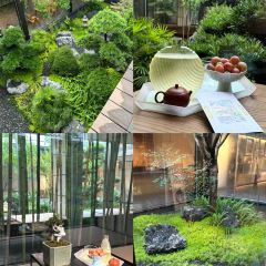 寻宝记绍兴菜(笛扬楼店) User Photo