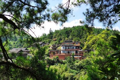 一山树屋咖啡营地