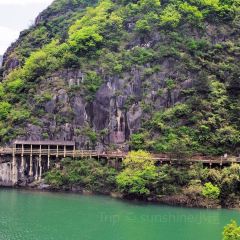 胡氏銀河鮮魚莊（蓮湖路店）張用戶圖片