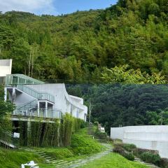 PLANB·釉白民宿·白月光餐厅 User Photo