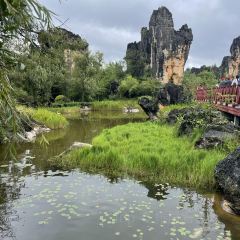 石林杏林大观园樱花峪药膳坊餐厅 User Photo