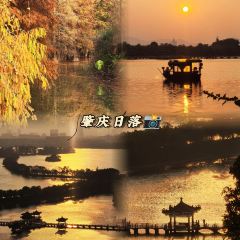 鼎湖山酒家 User Photo