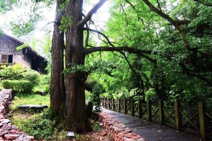 盘州·东湖里·假日酒店(东湖公园银杏广场店)·四季三食