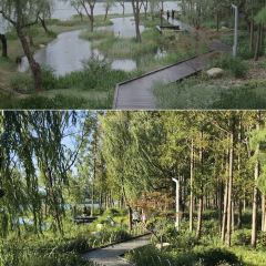 半两·咖啡书店·浮生是杯酒 User Photo