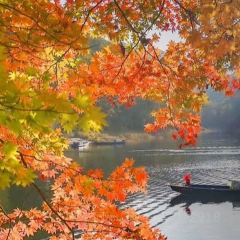 金达莱冷面馆 User Photo