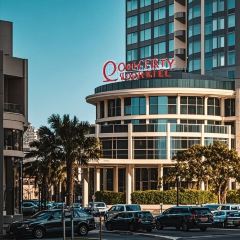 橘子洲头(天仙路店) User Photo