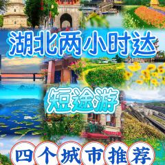 ZHI XIANG WANG SHI User Photo