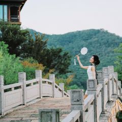 Shan Chinese Restaurant User Photo